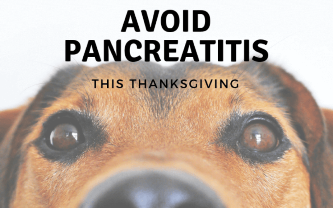 Avoid Pancreatitis This Thanksgiving