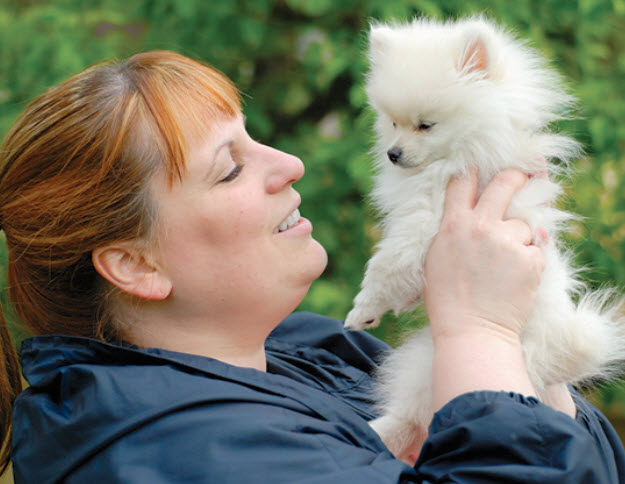 Pomeranian Dog Breed Info